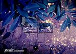 爱朵儿05