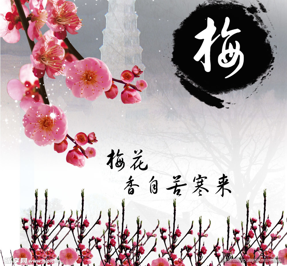 梅花