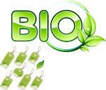 树叶BIO吊牌
