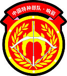 特种部队 响箭