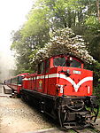 阿里山小火车