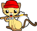 可爱小猫咪