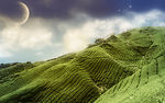美丽风景