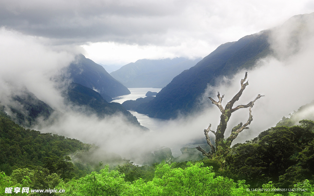 美丽风景