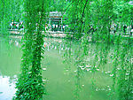 邵山风景