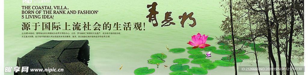 莲花 美景