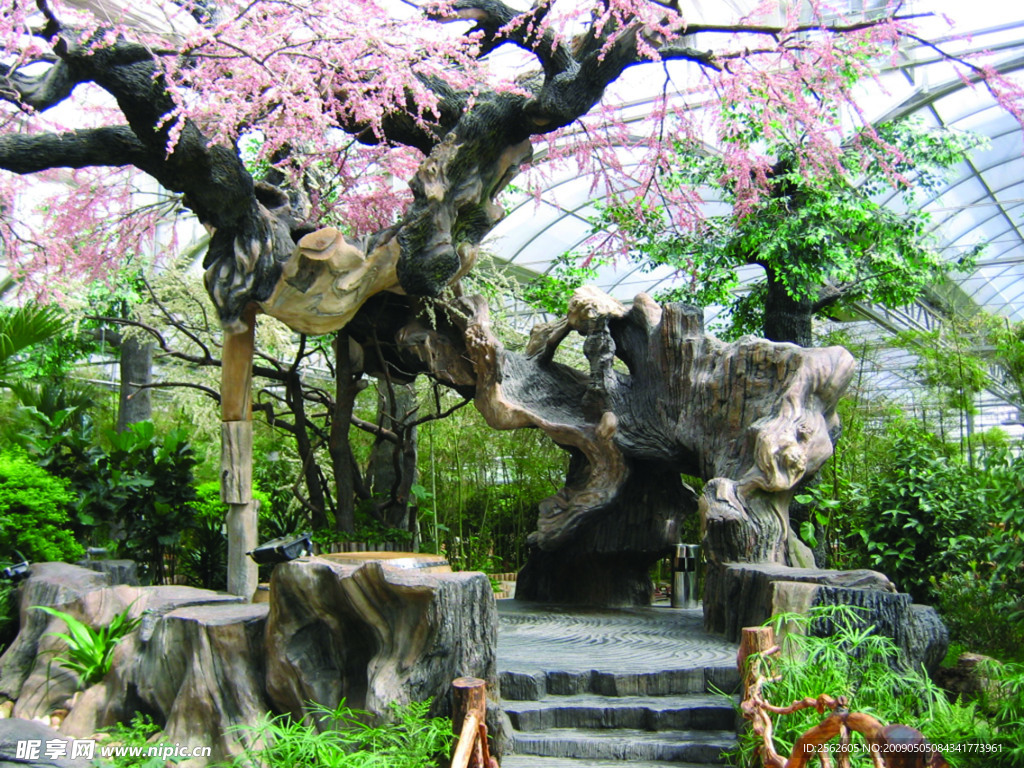 花园一景