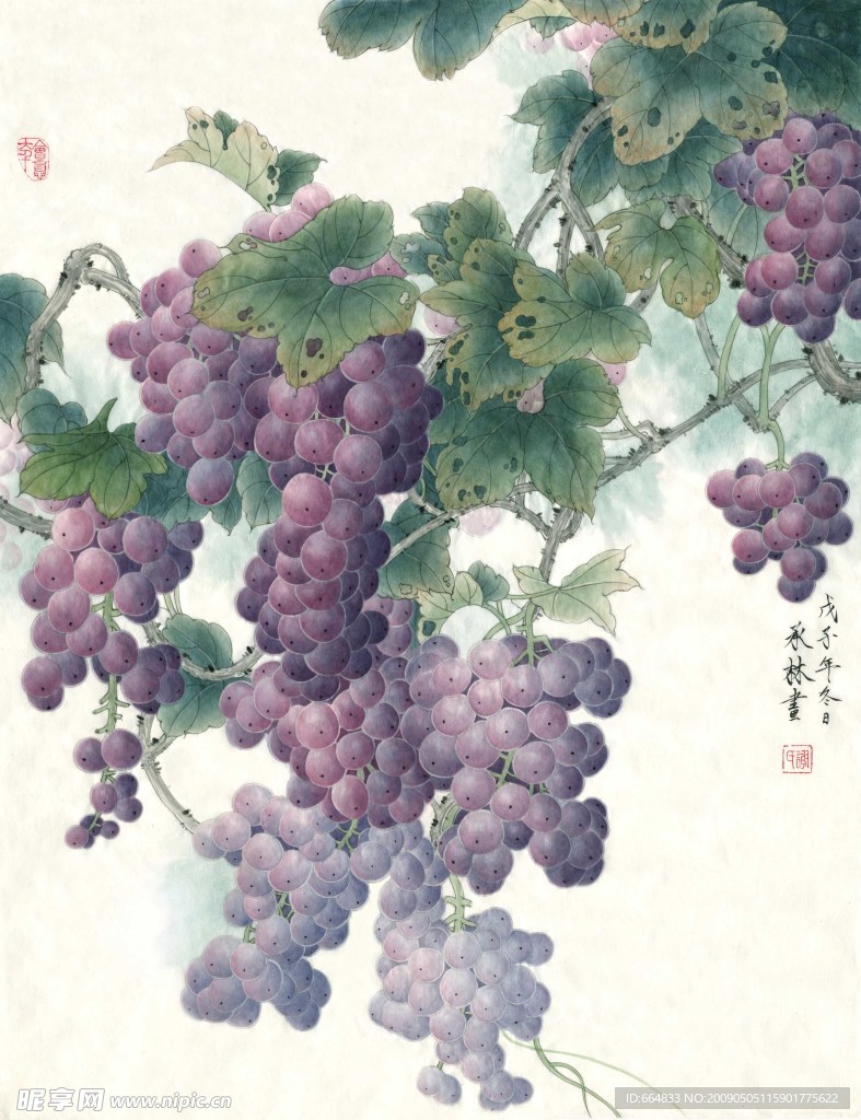 工笔紫葡萄