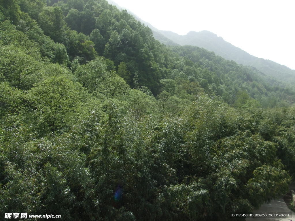 苍茫青山