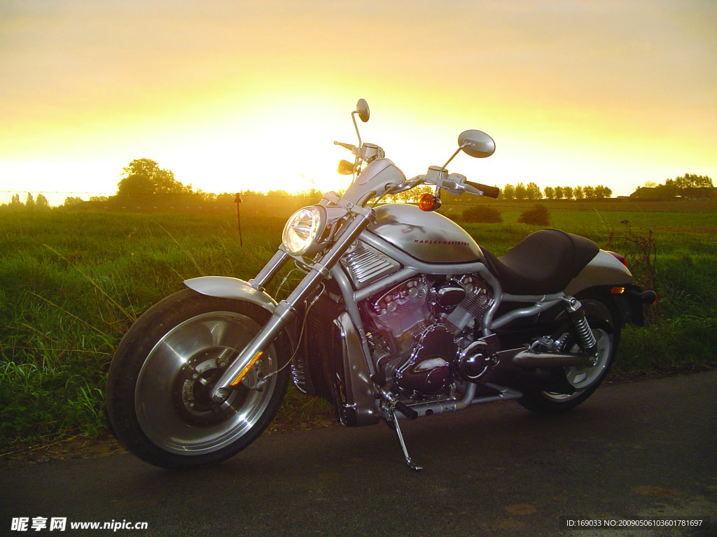 哈雷 Harley