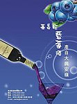 蓝梅酒