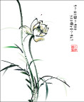 花卉系列