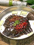 银盆多宝鱼