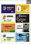 精品名片模版
