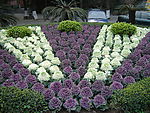 公园人造花丛