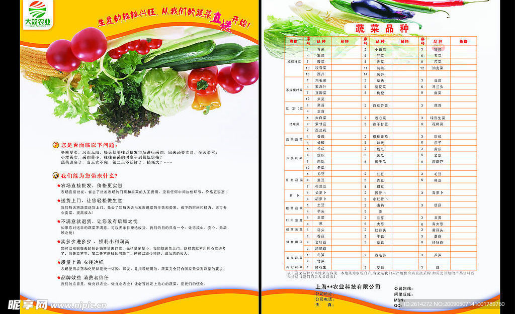 蔬菜彩页设计