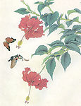 花鸟画谱
