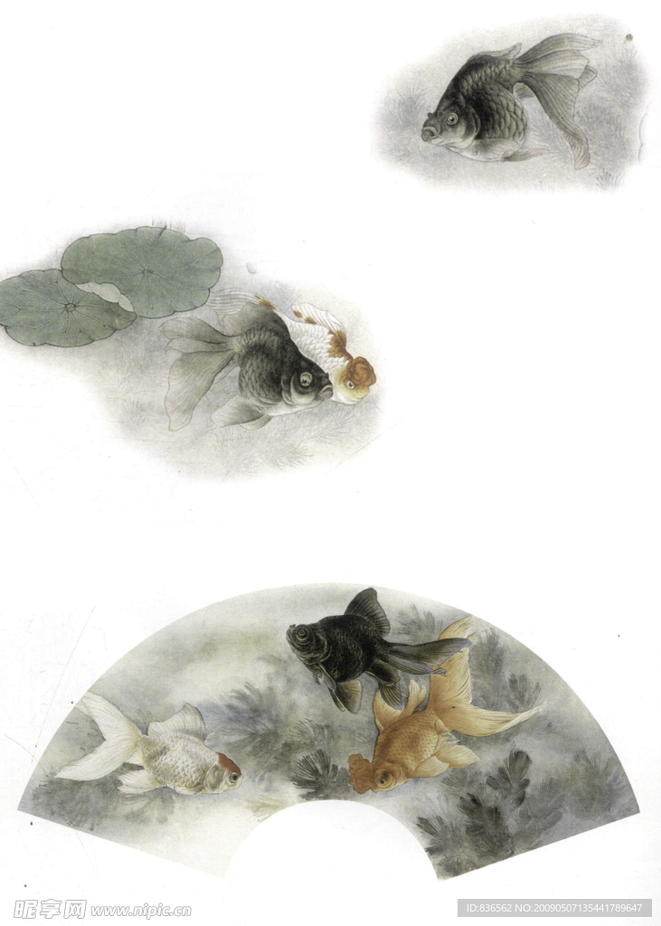 花鸟画谱
