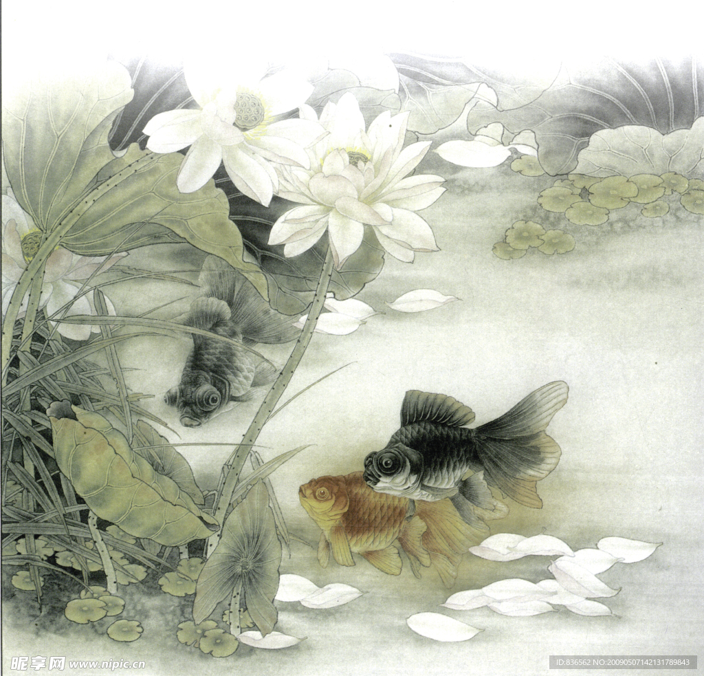花鸟画谱