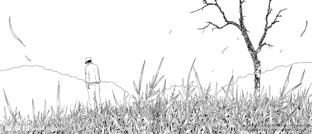 草地