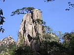 黄山奇石怪松