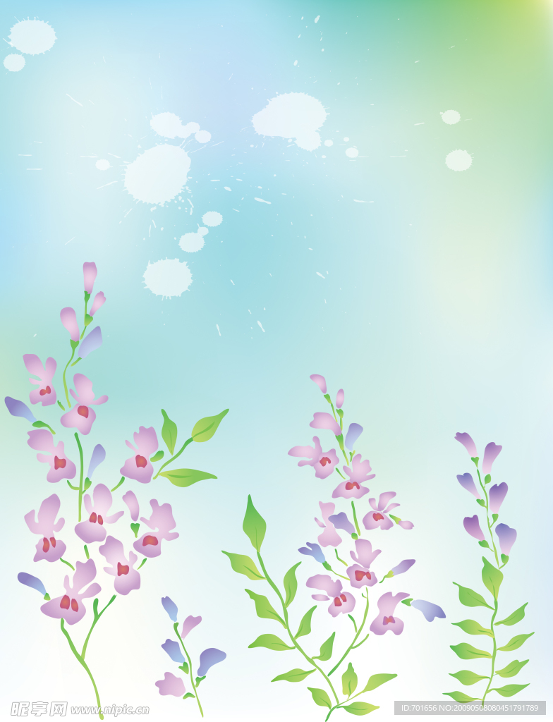 轻扬