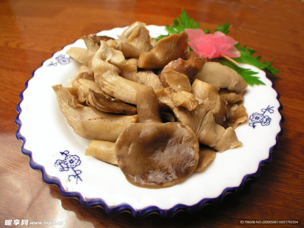 鲍鱼菇
