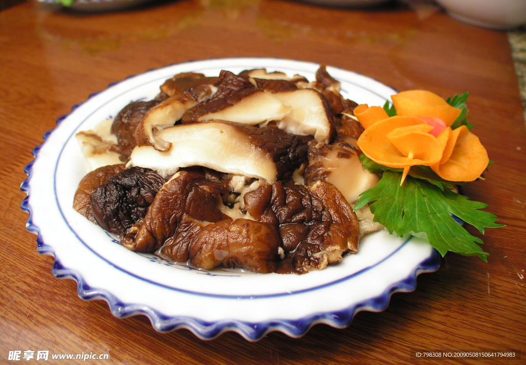 野生香菇