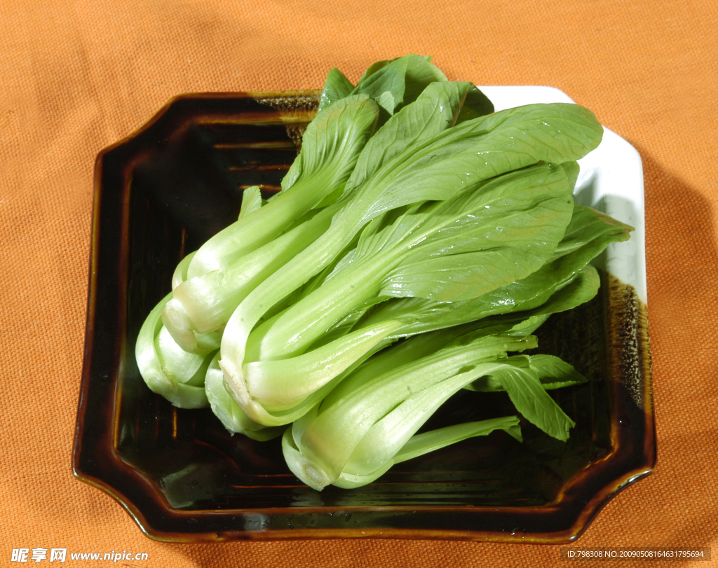 小油菜