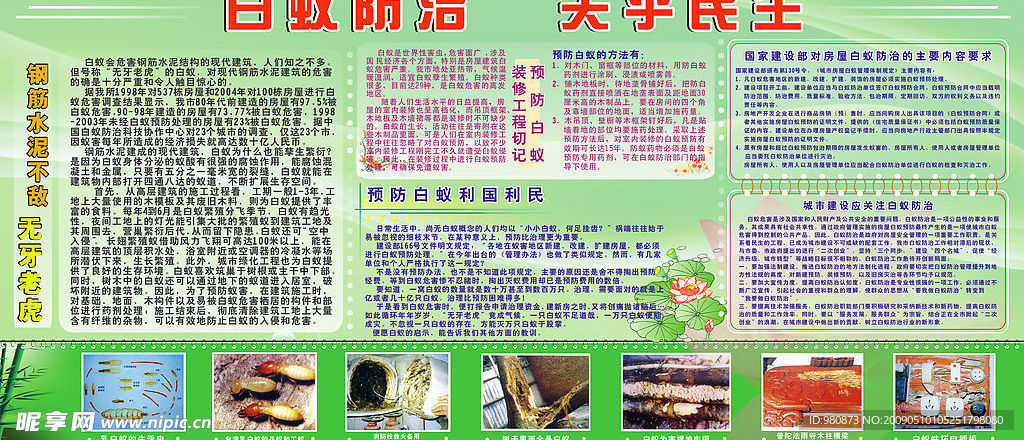 防治白蚁板报