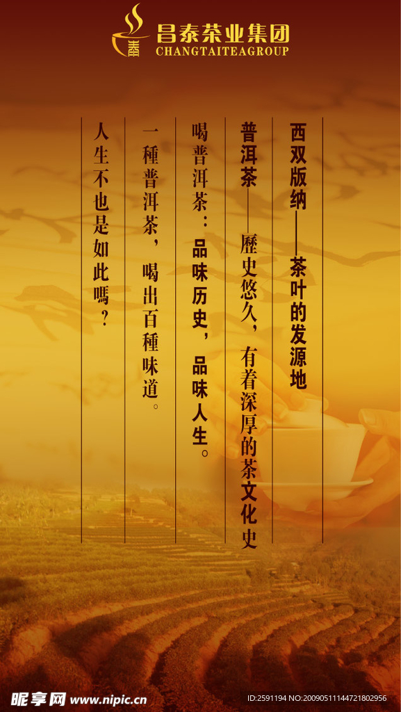 普洱茶01