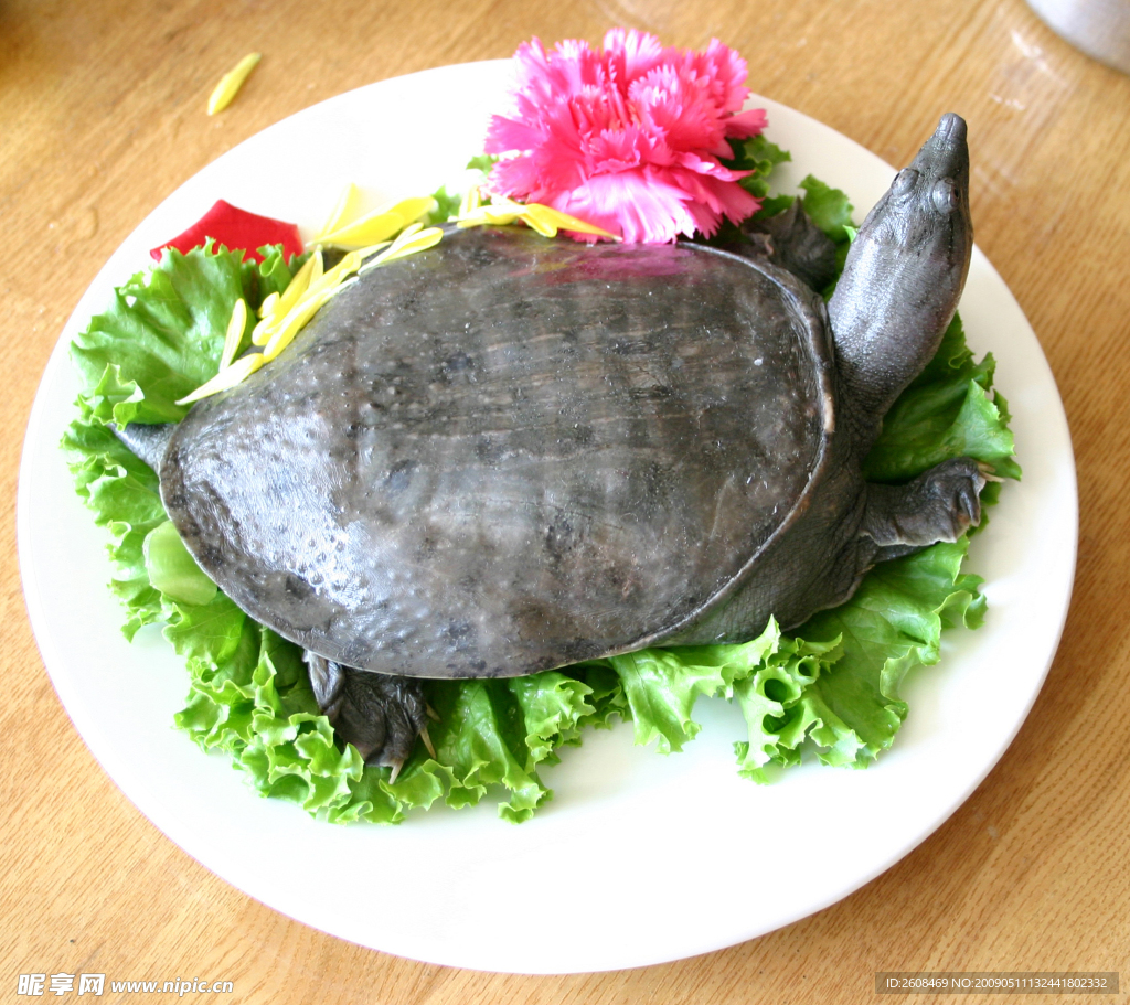 饮食文化