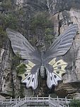 蝴蝶泉