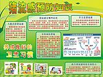 猪流感预防知识