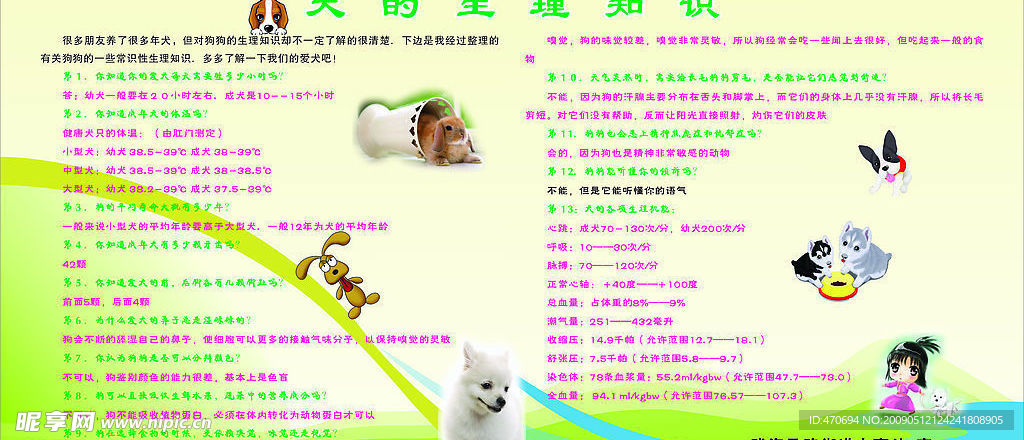 养犬版面