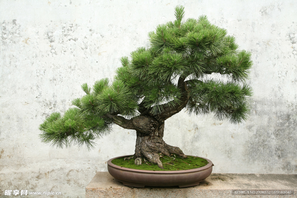 素材