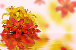水中花