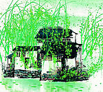 春天水乡