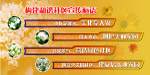 社区版面