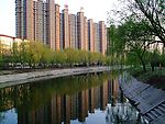 初夏风景