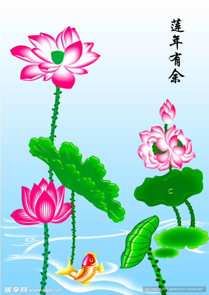 荷花鱼