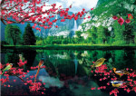 风景