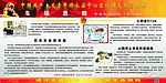 中国共青团安全知识宣传