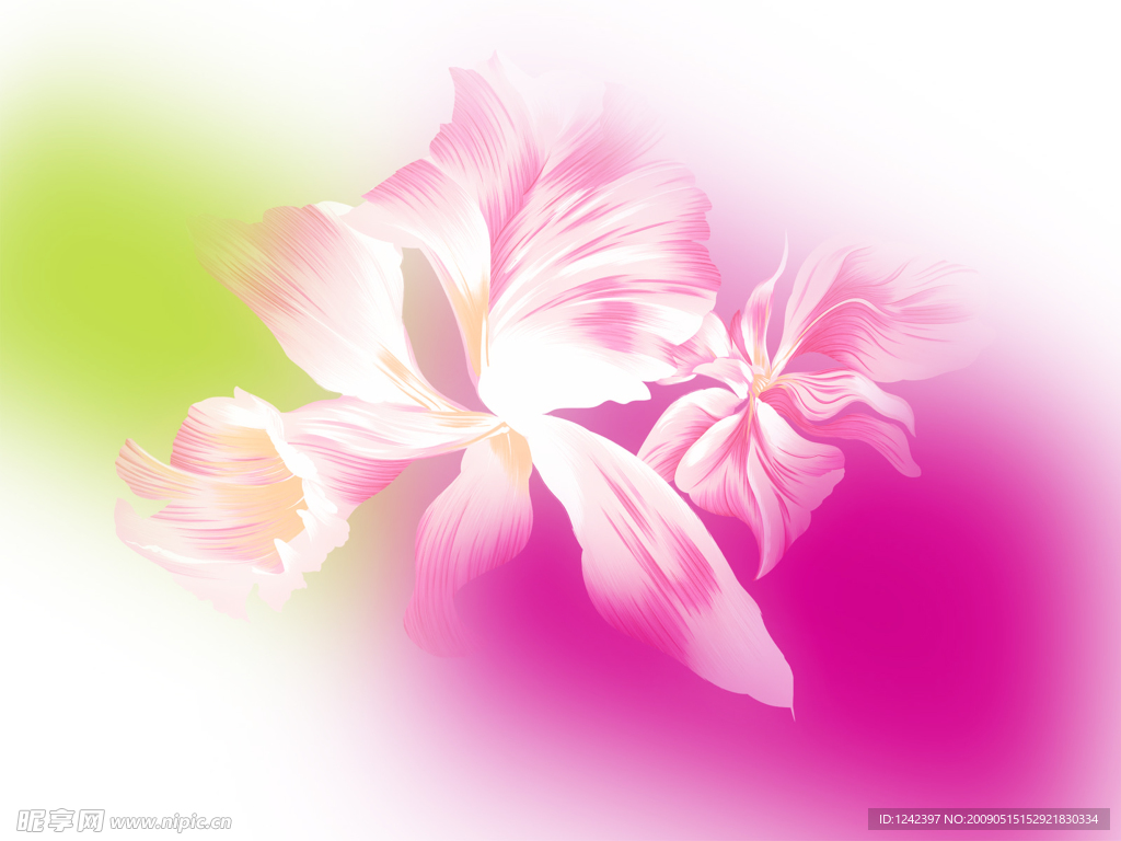 花朵背景