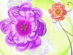 花朵背景