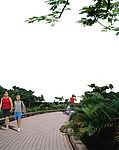 广场绿化环境设计130