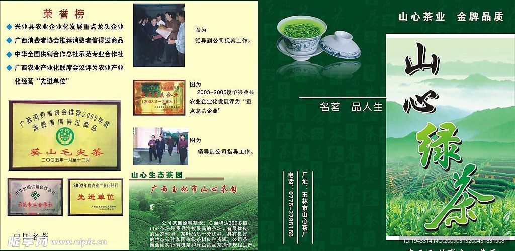 绿茶彩单设计