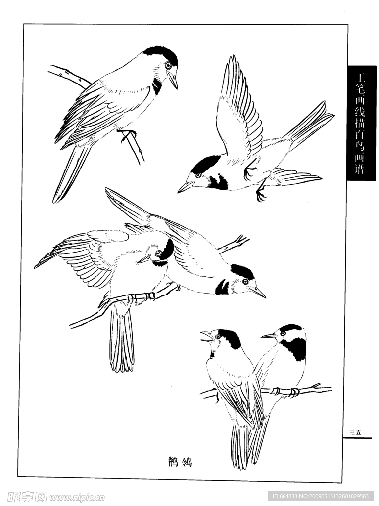 白描