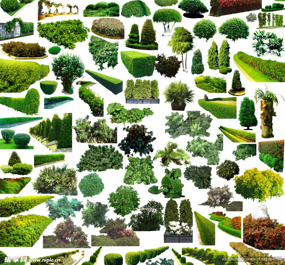 植物配景PSD