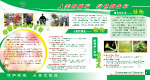 最新保护环境展板模板